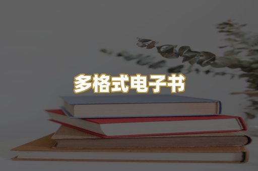 多格式电子书