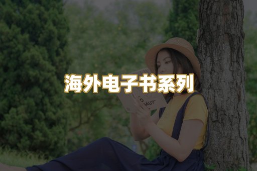 海外电子书系列